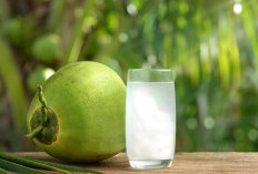 Gak Nyangka, Ini Manfaat Air Kelapa, Bisa Cegah Penyakit Jantung