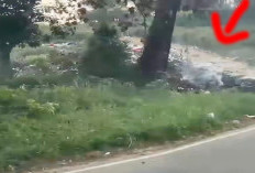 TPA 6 Hektar Belum Dibangun, Sampah Meluber Mengancam Pencemaran & Jalan Nasional
