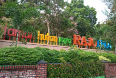 Bosan ke Pantai? Coba Main ke Wisata Taman Hutan Raya Rajo Lelo di Bengkulu