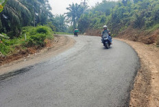 Kuras Anggaran Rp21 Miliar, Kades Soroti Angkutan CPO Over Tonase