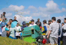 Bulog Serap Hasil Panen Petani Bengkulu Utara Capai 41 Ton