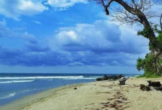 Perambahan di Teluk Sepang Disebut HPL Milik Pelindo