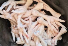 Tak Disangka, Ternyata Ceker Ayam Mengandung Banyak Kolagen, Bikin Wajahmu Glowing Alami