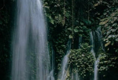 Pesona Air Terjun Donok, Surga Tersembunyi di Balik Hutan Belantara Bengkulu
