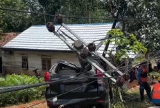 Ngantuk, Avanza Warga Ketahun Seruduk Tiang Listrik Hingga Ambruk