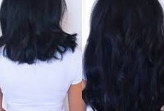Yuk Kenali Siklus Tumbuhnya Rambut, Ternyata Tidak Selamanya Tumbuh Loh!