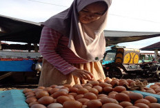 MBG Libur, Harga Kebutuhan Pangan Turun, Warga Sumringah