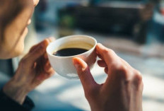 Bukan Sekedar Minuman Paforit Belaka, Nikmati Khasiat Konsumsi Kopi Bagi Kesehatan, Ada Penjelasan Dokter Juga