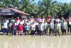 Program Oplah Suka Baru Terus Digenjot, Petani Harap Dukungan Alsintan