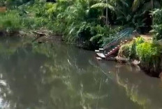 Sungai Selagan Menghitam, DLH Mukomuko Tunggu Hasil Uji Laboratorium