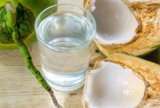 11 Obat Herbal ini Terbukti Bisa Mengobati Asam Lambung, Cek Disini