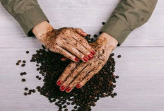 6 Manfaat Ampas Kopi untuk Pupuk Taman hingga Perawatan Kulit