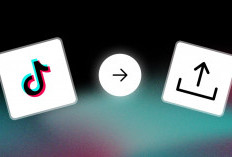 Tips Menentukan Jam Upload Video Tiktok Agar Fyp Hingga Menghasilkan Cuan dengan Mudah