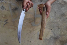 Mengenal Rambai Ayam, Senjata Tradisional Khas Bengkulu