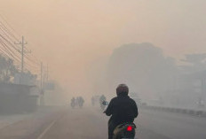 Kabut Asap Mulai Selimuti Bengkulu, Jarak Pandang Masih Aman
