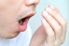 Bau Mulut No Way, Coba Obat Alami Ini Bau Mulut Anda Hilang