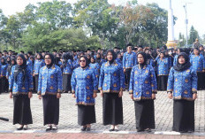 Pengangkat PPPK Paruh Waktu ke Penuh Waktu Tunggu Kepastian Pusat