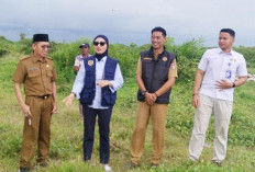 Pembangunan Jembatan Timbang di Koto Jaya Tunggu Tuntas Hibah Lahan