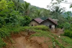 Nyata! Ada Kampung Pasar Setan di Banjarnegara, Sering Terdengar Suara Keramaian saat Malam Jumat Kliwon