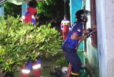 Ditinggal Mudik, Rumah Warga Karang Anyar Dilalap Sijago Merah