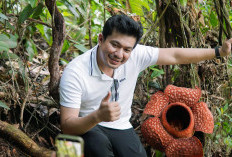 Bupati Arie Tegaskan Bengkulu Utara Komitmen Untuk Menjaga Bunga Rafflesia Kemumu