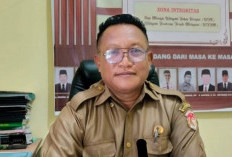Nyalon Kades, Perangkat Desa Wajib Mundur