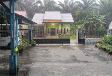 Hujan Deras Guyur Mukomuko, Warga Diminta Waspada Banjir dan Longsor