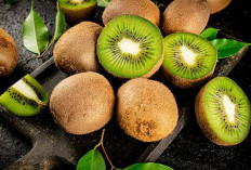 Ternyata Buah Kiwi Punya Manfaat untuk Mengencangkan Kulit Wajah Loh!