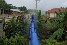 Rehabilitasi Jaringan Pipa, Air PDAM Tirta Selagan Bakal Mati Total