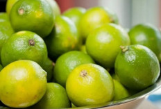 Dibalik Rasanya yang Asam, Ternyata Buah Jeruk Kaya Manfaat untuk Kesehatan Tubuh