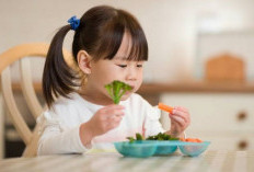 Bunda Jangan Panik, Begini Cara Mudah Mengembalikan Nafsu Makan Si Kecil