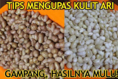 Trik Kupas Kacang dengan Cepat, Baru 1 Jam Udah Dapat 5 Kg, Cocok untuk Jualan Kacang Tojin Lebaran Nanti
