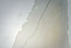 Ini Cara Efektif Mengatasi Tembok Lembap di Rumah Saat Musim Hujan