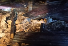 Rumah Panggung di Air Sebayur Ludes Terbakar, Kerugian Capai Puluhan Juta