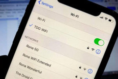 Cara Melihat Password WiFi yang Sudah Terhubung di Berbagai Perangkat