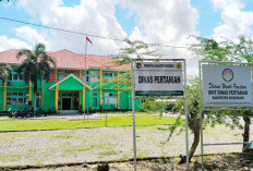 Perkebunan Sawit Rakyat Pegang Kendali Ekonomi di Mukomuko