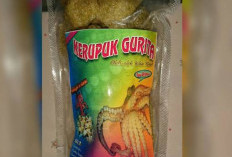 Kuliner Bengkulu, Begini Cara Membuat Kerupuk Gurita yang Kriuk dan Anti Melempem