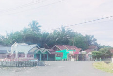 Berharap Penuntasan Jalan Tugu Gajah-Talang Arah Melalui Dana IJD
