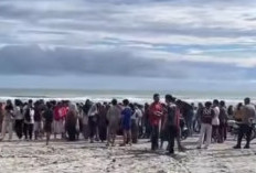Tragedi Pantai Badri, Pelajar SMP Dikabarkan Hanyut Disapu Ombak