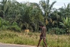 Kelakuan Nyeleneh, ODGJ di Mekar Mulya Dikabarkan Seneng Mengambil Celana Dalam