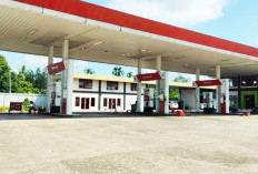 BBM Non Subsidi Naik Drastis, Dexlite dan Dex Tembus Rp24 Ribu per Liter