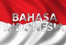 Bikin Bangga, Ternyata di Negara Ini Bahasa Indonesia Sangat Penting, Kok Bisa?