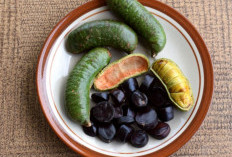 Memiliki Aroma yang Hampir Sama dengan Jengkol, Ternyata Ini Manfaat Konsumsi Kabau