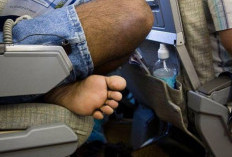Kenapa Tidak Boleh Pakai Celana Pendek Saat Naik Pesawat? Ternyata Ini Alasannya