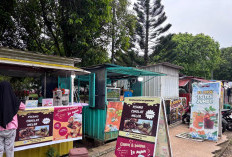 Data Ulang 29 Ribu UMKM di Bengkulu Utara