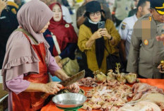 Harga Daging Ayam Bikin Ibu Rumah Tangga Resah, Diduga Ini Penyebabnya