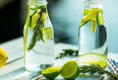 Ajaib, Infus Water dari Dua Bahan Ini Bisa Mengeluarkan Asam Urat Melalui Urine., Selamat Tinggal Obat Kimia