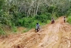 Menanti Anggaran DBH 2026, Desak Pembangunan Jalan Trans Lapindo-Kinal Jaya Dipercepat
