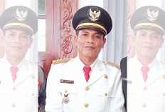 Berondol Sawit Hingga Aktivitas Sungai Rawan, Camat XIV Minta Warga Waspada