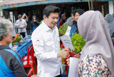 30 Ribu Bibit Gratis Tahap Dua Siap Didistribusikan